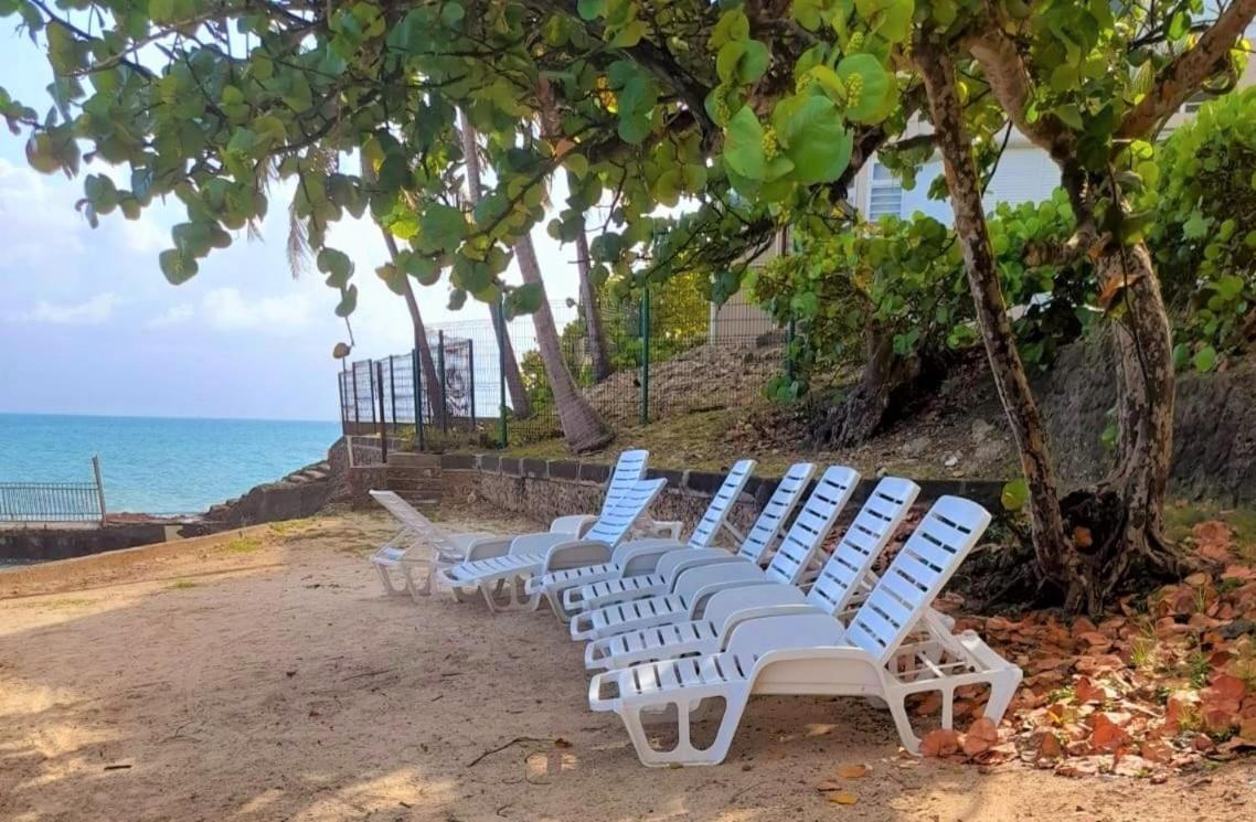 Ilet Bleu Studio Cosy Rdc Vue Mer Et Jardin - Acces Direct Plage Le Gosier  Luaran gambar