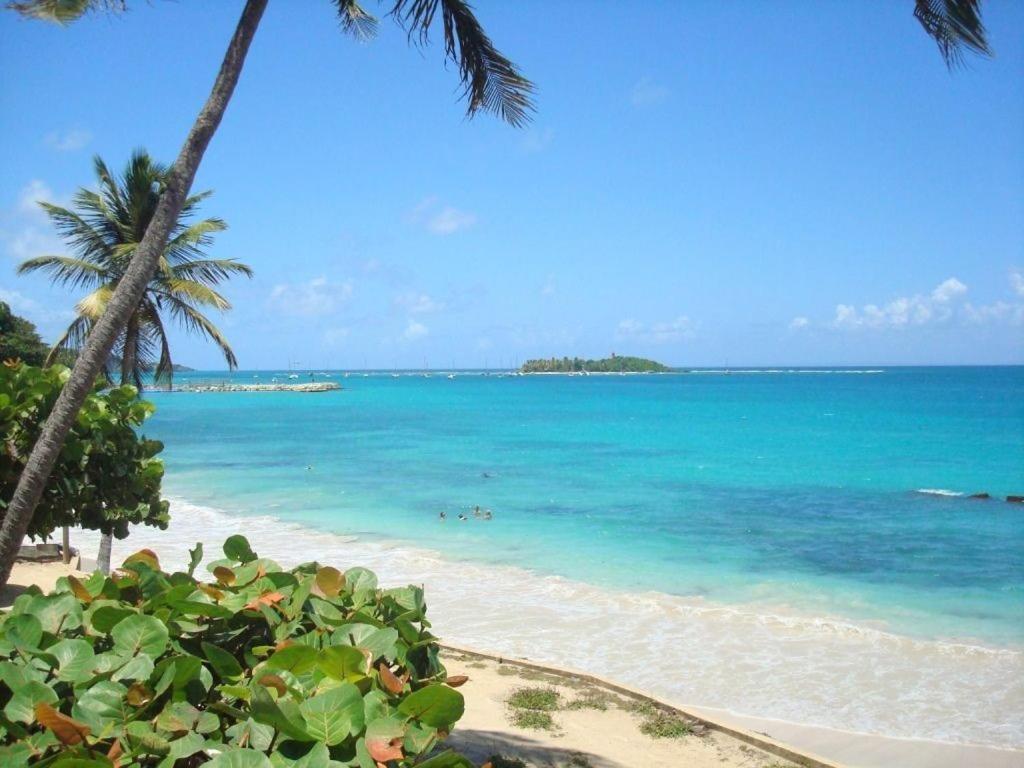 Ilet Bleu Studio Cosy Rdc Vue Mer Et Jardin - Acces Direct Plage Le Gosier  Luaran gambar