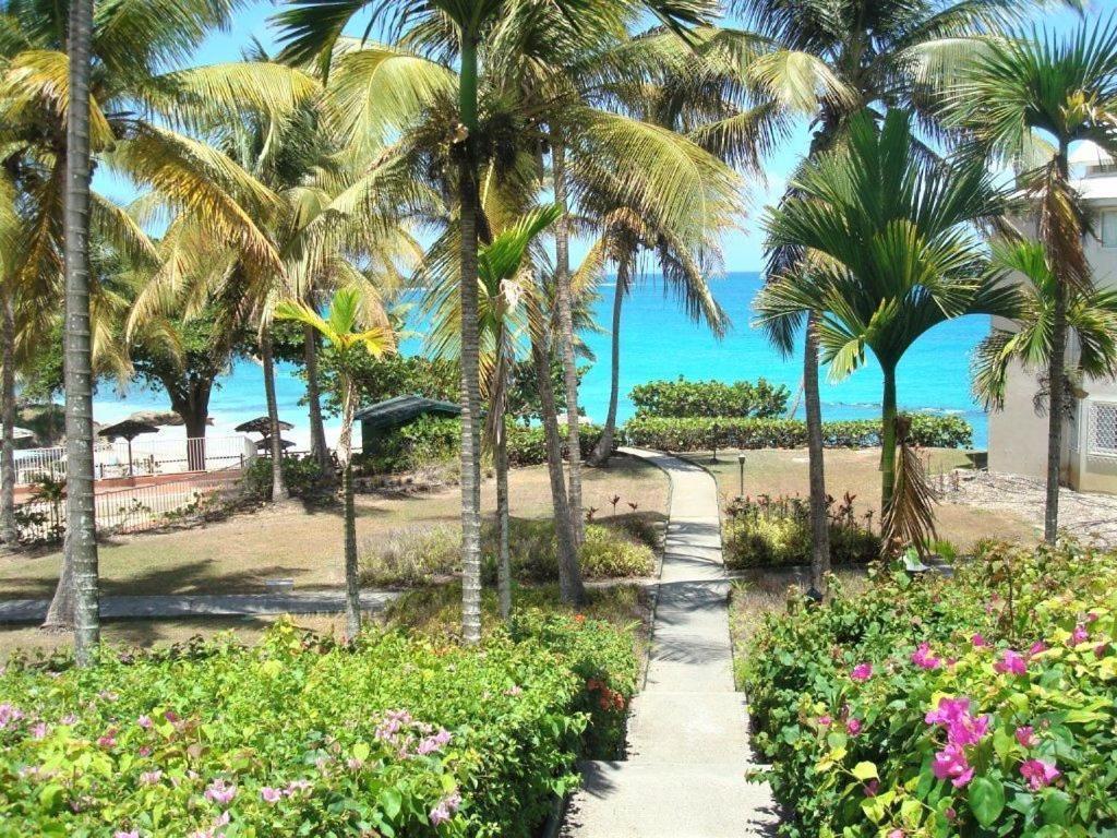 Ilet Bleu Studio Cosy Rdc Vue Mer Et Jardin - Acces Direct Plage Le Gosier  Luaran gambar